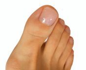 closeup photo woman s toes white background closeup photo woman s feet toes white background 126977927.jpg from toe jpg