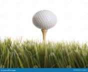 golf ball tee grass 2052153.jpg from 2052153 jpg