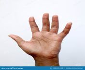 isolated female black african indian manicured hand showing number five counting her palm her open hand against white 148305494.jpg from indian hand
