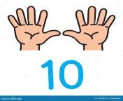 kid s hands showing number ten fingers icon hand fingers counting education childrens vector illustration kid s 104947657.jpg from zehn