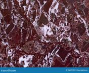 de gepolijste rode marmer textuur afwerkingssteen 196499370.jpg from ssteens elena