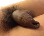 919 450.jpg from hairy foreskin indian lund i