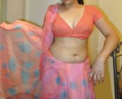 062 450.jpg from indian aunty saree porn imagee