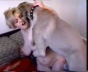 52b2a62c2f2f0zoo amateur 59 flv 5b.jpg from women love sex with dogs