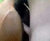 5e86ee38ef41apounding a mare pussy mp4 3b.jpg from mare vagina video