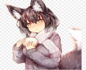 animewolfgirl wolf girl kelly girls grey gray anime gray wolf anime wolf girl 115690477824h2vxrjw5g.png from gray girl sexৌসুম