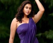 thqnamitha sex images from actress namitha fat nude big