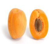 apricot and cross section.jpg from apricot