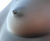 200px african breast sg.jpg from village nipple s