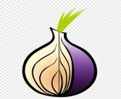png transparent purple onion tor browser web browser onion onion routing onion food leaf plant stem.png from bad onion hentai 10llu mmÃÂ ÃÂ´ÃÂ