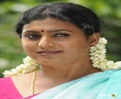 wp11772504.jpg from tamil old actress roja real sex full video