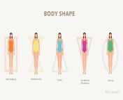 body shapes chart.jpg from 36 28 36 body shapes hot sex