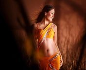 hd wallpaper kareena kapoor navel hot orange indian.jpg from kareena kapoor sexy navel from fevicol se song
