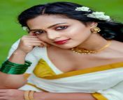 hd wallpaper amala paul malayalam actress tamil actress telugu actress.jpg from tamil actress amalia paul braকোয়