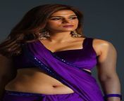 hd wallpaper shraddha das navel show multilingual actress.jpg from sexy saree navel show