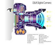 how your dslr camera works.png from camera inside of the