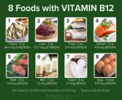 vitamin b12 foods to eat.jpg from www 12 and 12 b