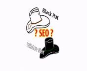 20221104155310 32899 jpeg from 黑帽seo报名【seolmm com】✔️搜索引擎优化排名seo26444