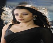 trisha in black saree jpeg from tamil actress dow