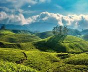 top 10 places to visit in munnar you must visit in 2023.jpg from munnar