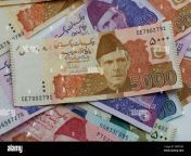 pakistani rupees pakistani currency notes 2bxf7m2.jpg from paki rubina insert curency note in her pussy