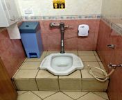 how to use an asian toilet 2.jpg from asian toilet