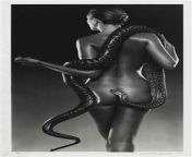 john swannell nude with snakes.jpg from snake naked nude