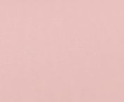 collection fleurs automne solid first blush pink b web jpgv1626443934 from pink