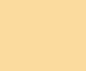 2155 50 suntan yellow.jpg from 2155 jpg