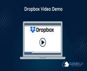 dvd 1024x602.jpg from video dropbox