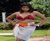 nadeesha hemamali spicy stills 2905111203 009.jpg from lanka actress sex nadisha hema mali