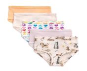 td29673 puppy party and rainbow hearts organic cotton toddler girl underwear 5 pack jpgquality100fitboundsheight600width600 from little panties