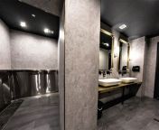 balancing style and functionality for healthy hygienic public toilets and bathroom.jpg from kazakh stars toiletx 230513