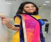 neelima stills photos pictures 49.jpg from tamil actress neelima sexy nudeorn yana sensation xxx