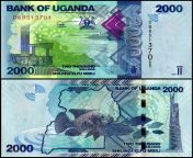 uganda 2000 shillings banknote 2021 p 50f unc.jpg from ugandan p