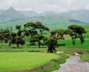17 curiosities of ethiopia that you should know before going 930x360.jpg from ethiopia photo