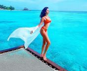 bollywood stars in bikinis on the beaches of maldives tara.jpg from sri lankan hot bikini car wash pictures 284329 jpg
