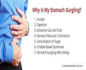 stomach gurgling causes.jpg from belly gurgling