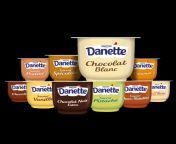 danone 22015 danette gamme visuel pot.png from danetsss1