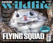 495200 bbc wildlife cover 2022 december 1 issue.jpg from gopher khan sex