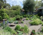 drought tolerant gravel garden garden design 17152.jpg from hot indian striping in front of cam goes full nude mms