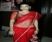 ananya dutt in red embllished work saree.jpg from low hip saree blouse