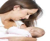 stock mother breastfeeding.jpg from milk adult feeding
