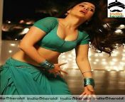 tamannaah removing her saree and exposing her milky white boby hot photos1.jpg from removing saari