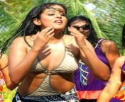 actress priyamani sexy images14.jpg from kannada actars priyamani sex nude xxx actress ramya ki nangi chut ki chudai hard sex xxx pus
