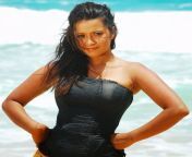 reema sen latest hot photos10.jpg from tamil actress reemasen fake