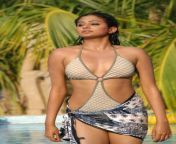 tamil actress bikini photo collection31.jpg from tamil actress vichitra bikini w w sa