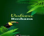 my name roshana mobile wallpaper jungle theme mte2mzi5.jpg from hot roshana o