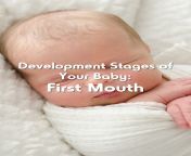 development stages of your baby first mouth cover.jpg from 1st mouth