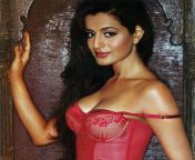 amisha old.jpg from amisha patel nude pics pussy big boobs desi indian sexy actress naked photos without clothes young erotic xxx 4 jpg